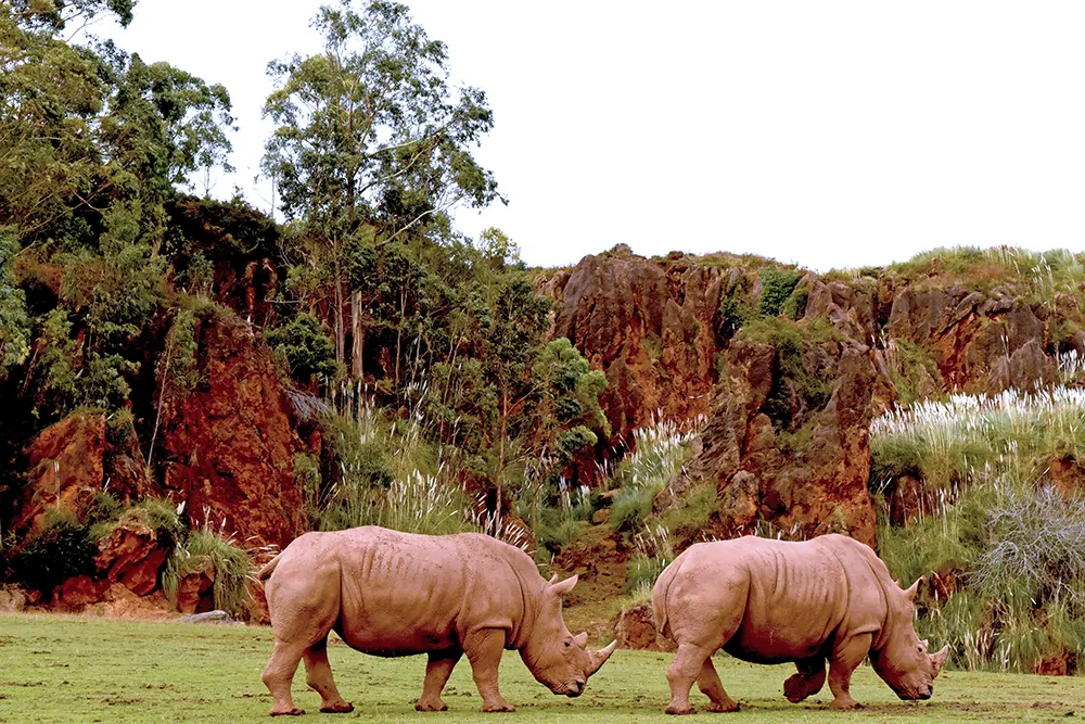 Parque de la Naturaleza de Cabárceno en Cantabria